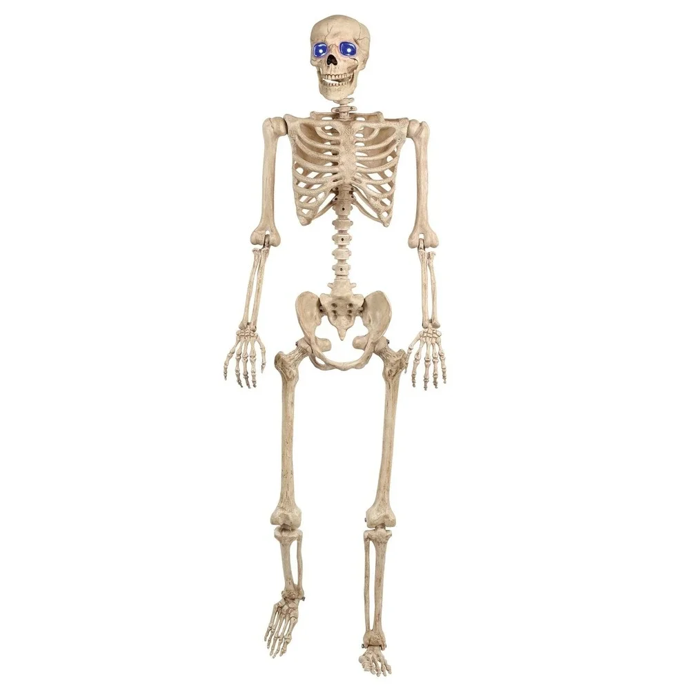 5 ft‎ Halloween Life Size Human Skeleton Poseable Bones Blue LED Light Eye